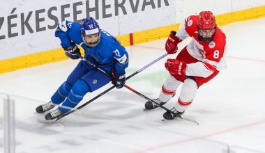 Шайбалы хоккей: қазақстандық жасөспірімдер құрамасы Данияға есе жіберді